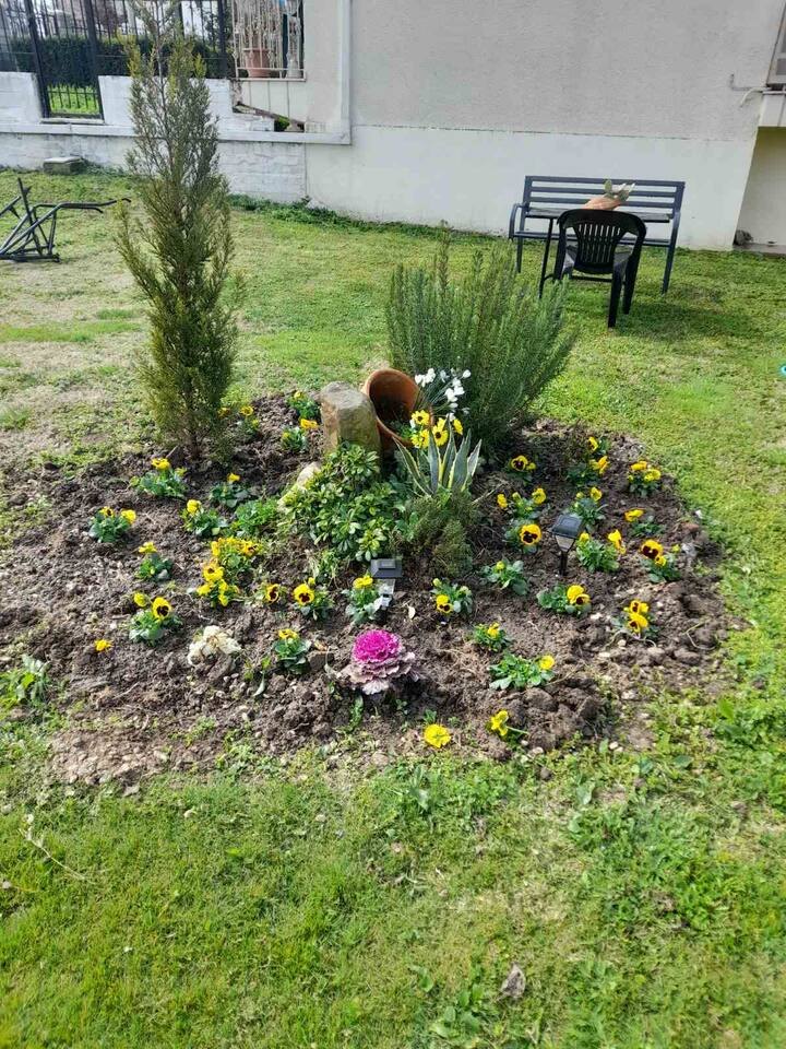 Garden Paradise in Megalochori — 3